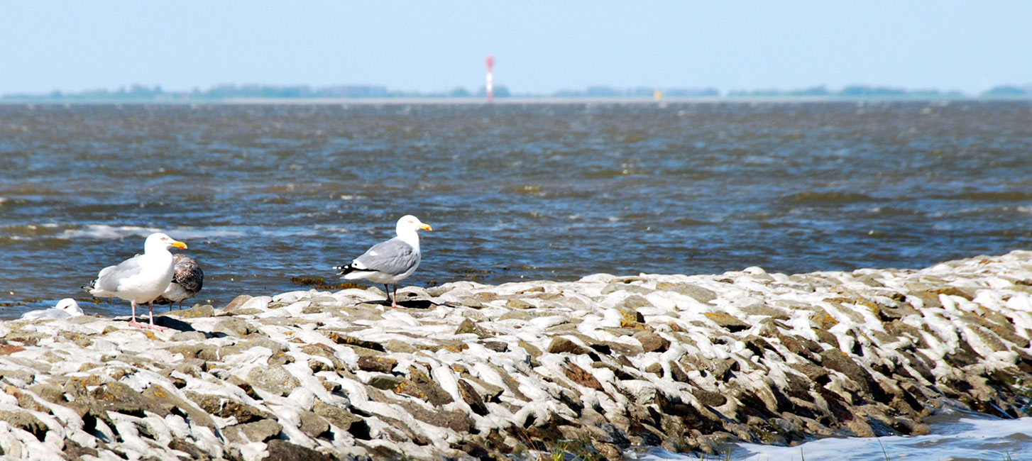 Urlaubslandschaft an der Nordseeküste bei Burhave